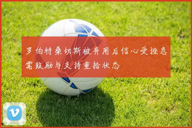 罗伯特桑切斯被弃用后信心受挫急需鼓励与支持重拾状态